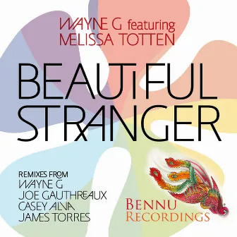 Beautiful Stranger (feat. Melissa Totten) by Wayne G