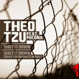 Shut It Down by Theo Tzu