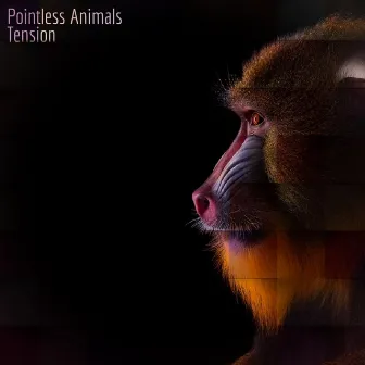 Tension by Pointless Animals