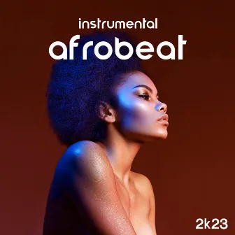 Instrumental Afrobeat – 2k23 by Rhythms From Africa