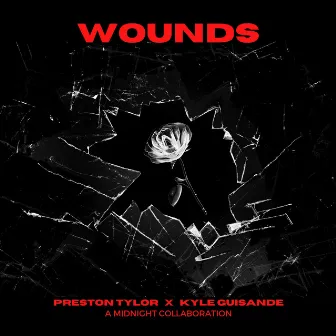 Wounds by Preston Tylor