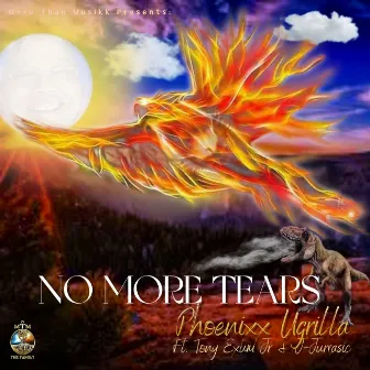 No More Tears by Phoenixx Ugrilla