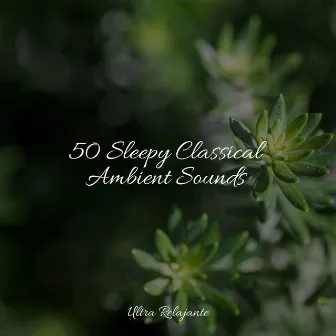 50 Sleepy Classical Ambient Sounds by 