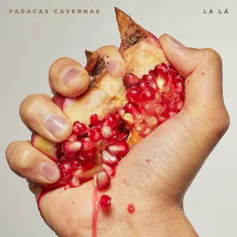 Paracas Cavernas by La Lá