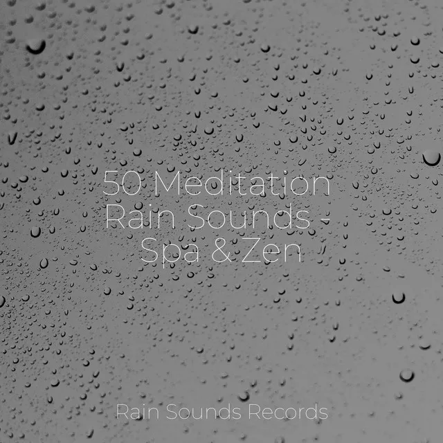 50 Meditation Rain Sounds - Spa & Zen