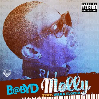 Molly (feat. Waka Flocka) - Single by Baby D.