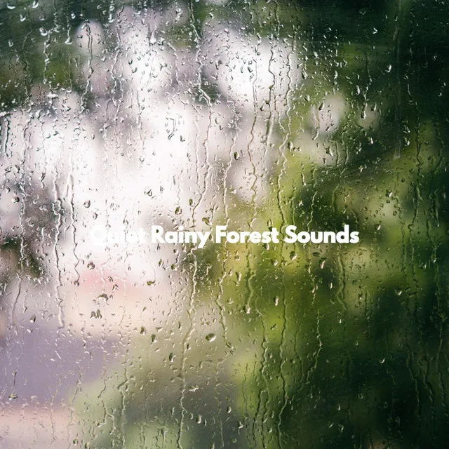 Quiet Rainy Forest Sounds