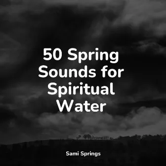 50 Spring Sounds for Spiritual Water by Lullaby Babies