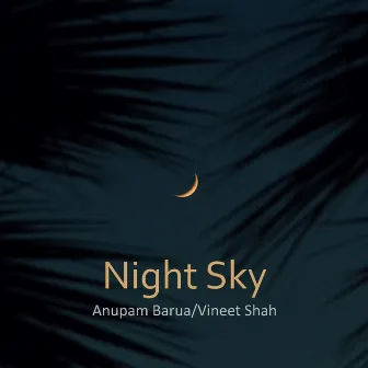 Night Sky by Anupam Barua