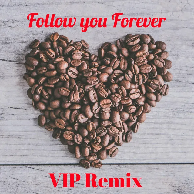 Follow you forever (VIP mix)