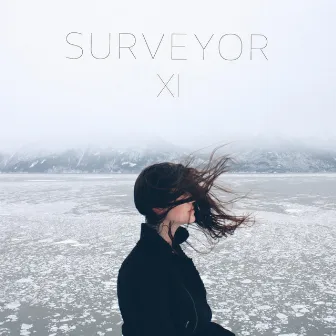 XI by Surveyor