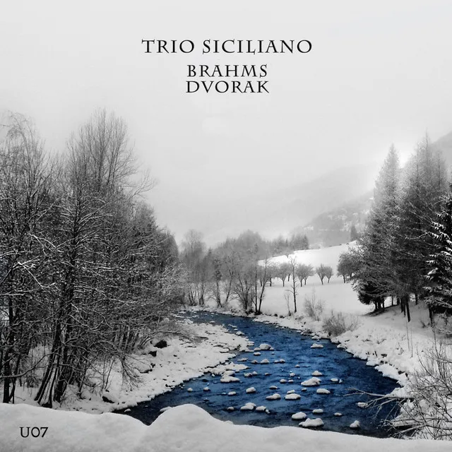 Trio Dumky, Op. 90: IV. Tempo andante moderato quasi tempo di marcia