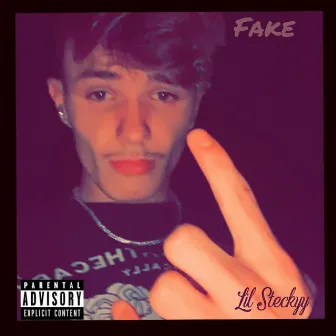 Fake by Lil Steckyy