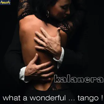 What a wonderful... Tango!! by Kalanera