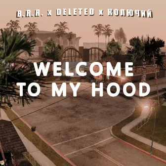 Welcome to My Hood by B.R.R.