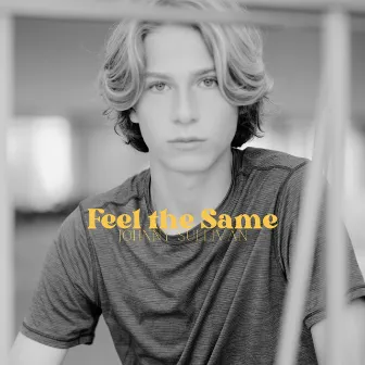 Feel the Same by Johnny Sullivan