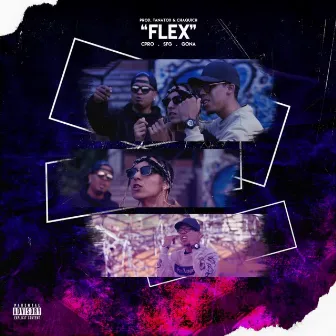 Flex by SFG