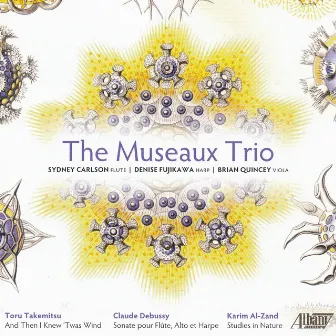 And Then I Knew ’Twas Wind by The Museaux Trio