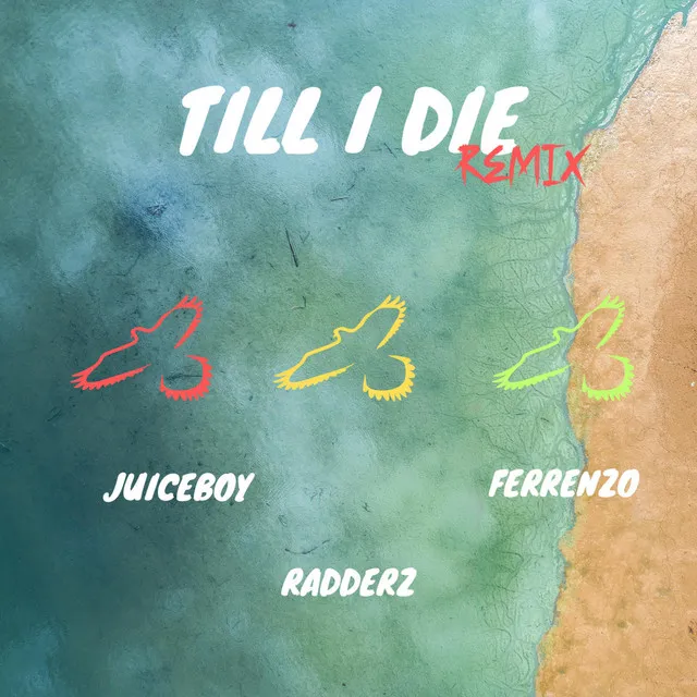 Till I Die - Radderz & Ferrenzo Remix Slowed