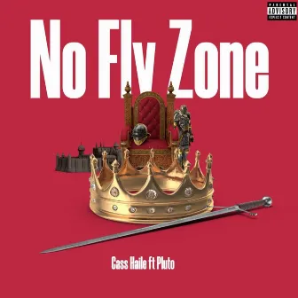 No Fly Zone by Cass Haile