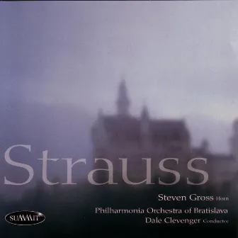 Strauss by Steven Gross