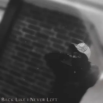 Back Like I Never Left by ivLand