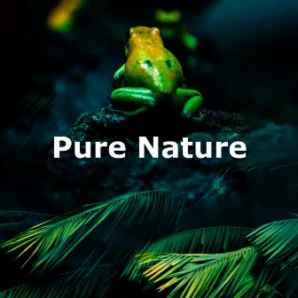 Pure Nature by Nature's Mirror