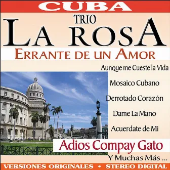 Errante de un Amor by Trio La Rosa