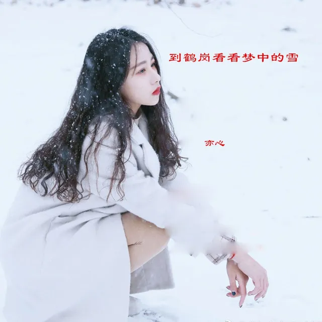 到鹤岗看看梦中的雪 - 亦心版