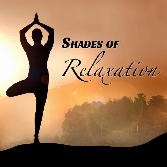 Shades of Relaxation: Incredibly Soothing New Age Music to Relieve Stress, Anxiety and Anger by Unknown Artist