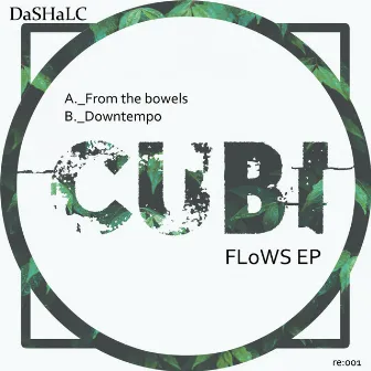 Flows EP by Dashalc