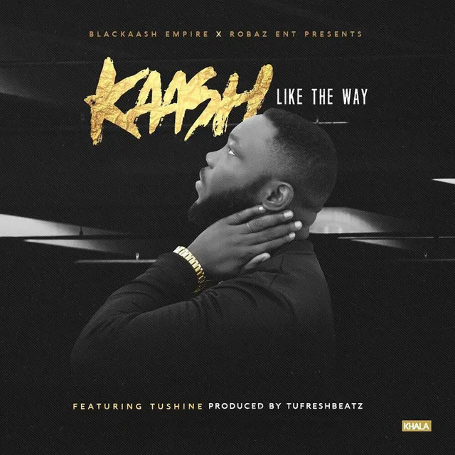 Like The Way (feat. Tushine)