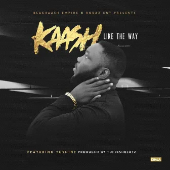 Like The Way (feat. Tushine) by Kaash