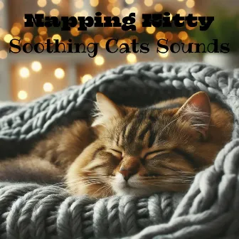 Napping Kitty - Soothing Cats Sounds, Sleep Peacefully by Cat Music Dream