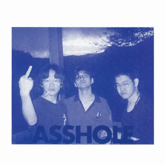 Asshole (Unplugged Mix) by NOT WONK