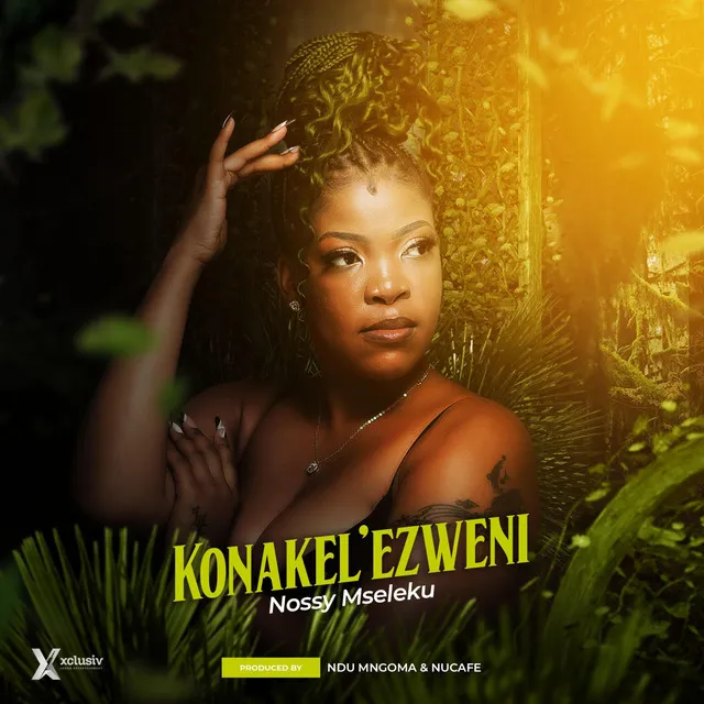 Konakel'ezweni