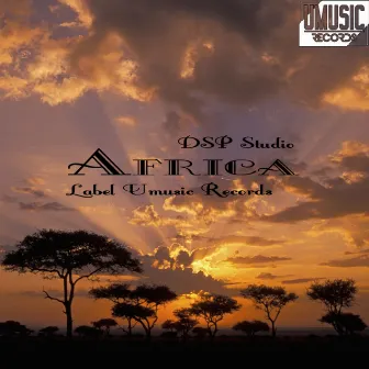 Africa by DSP studio