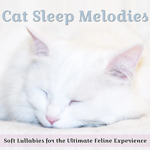 Cat Sleep Melodies: Soft Lullabies for the Ultimate Feline Experience