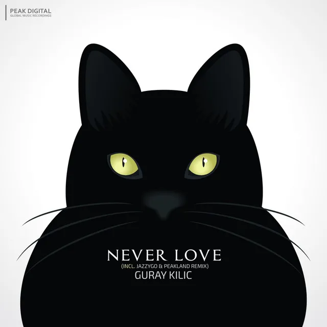 Never Love