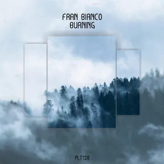 Burning by Fran Bianco