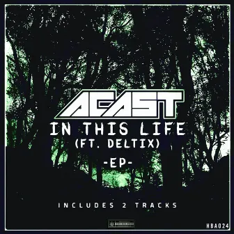 In This Life / Watch This by Deltix