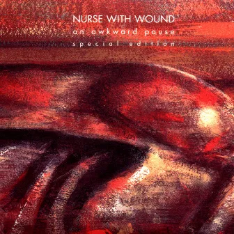 An Awkward Pause by Nurse With Wound