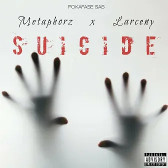 Suicide by Metaphorz