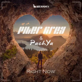 Right Now (Radio Edit) by PachYa