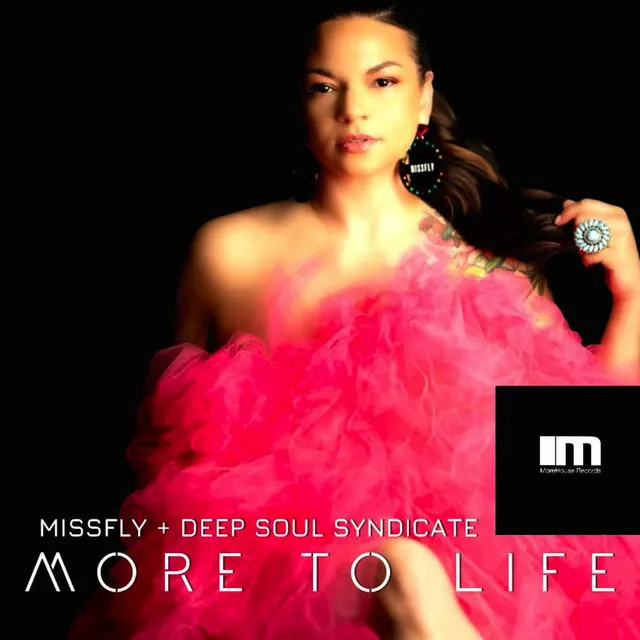 More to Life - Deep Soul Syndicate Main Mix