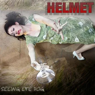 Seeing Eye Dog by Helmet