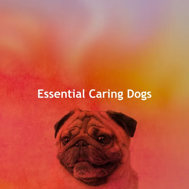 Essential Caring Dogs