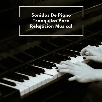 Sonidos De Piano Tranquilos Para Relajación Musical by Paz del piano