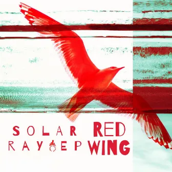 Solar Ray by Red Wing