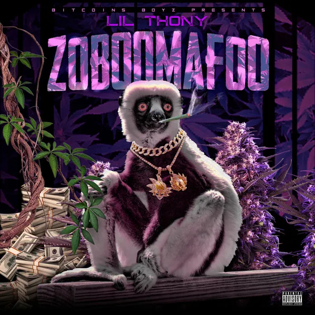 Zoboomafoo